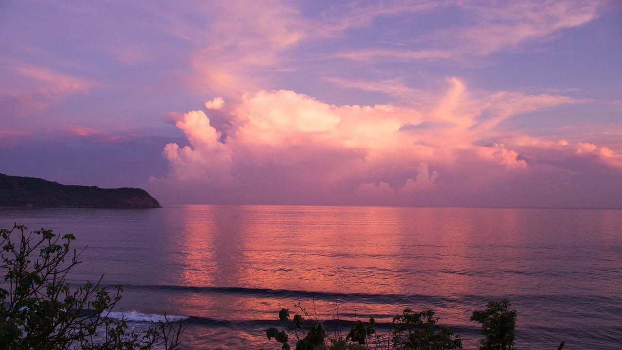 Photo of Others in Punta Negra