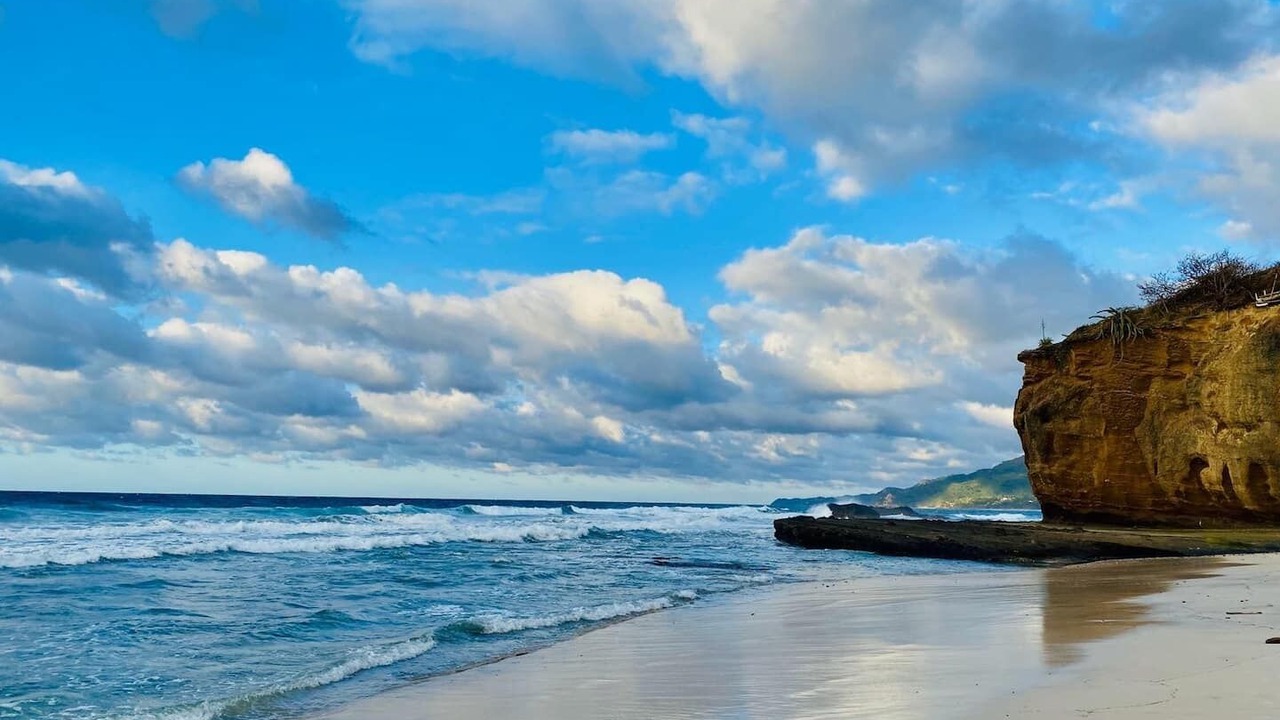 Photo of Others in Punta Negra