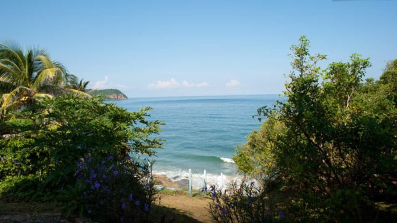 Photo of Others in Punta Negra