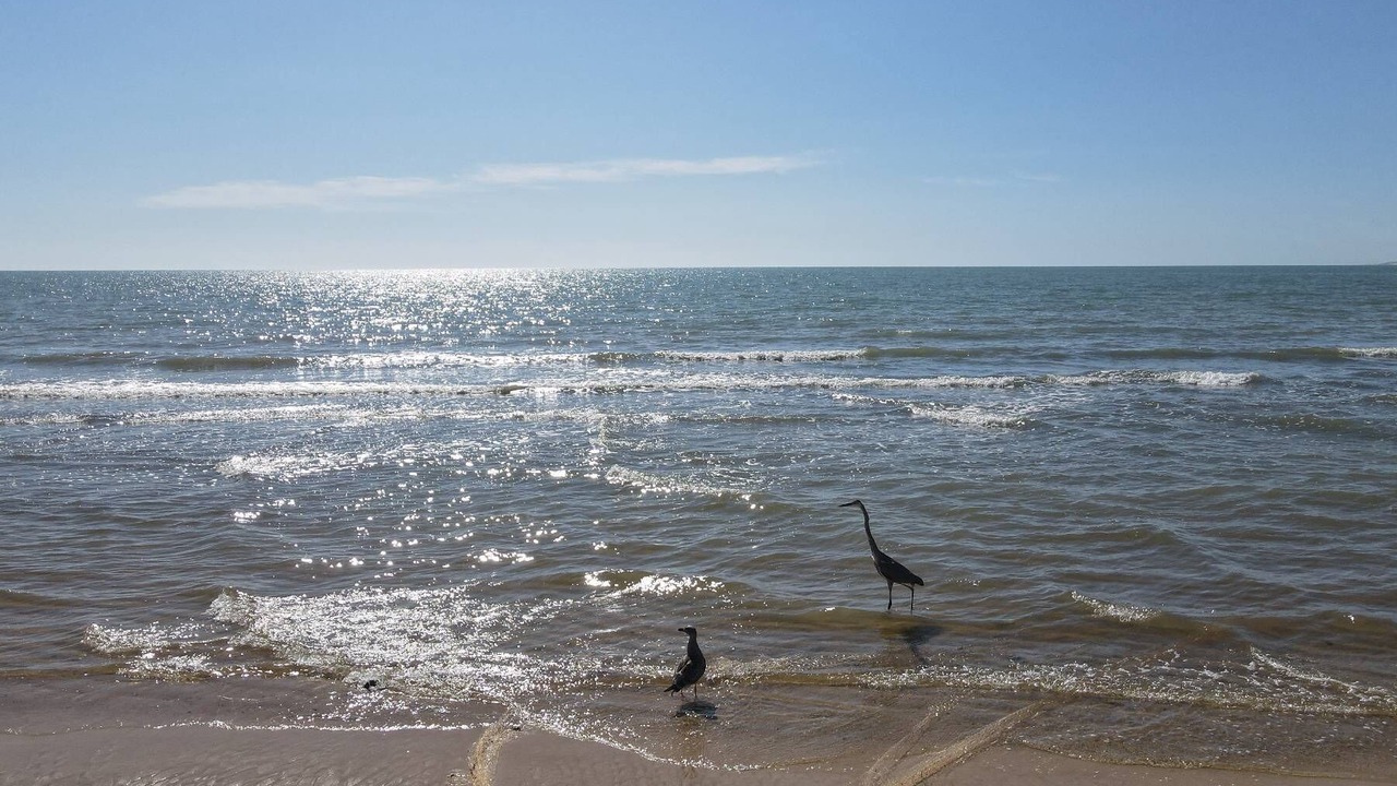 Photo of Others in San Felipe