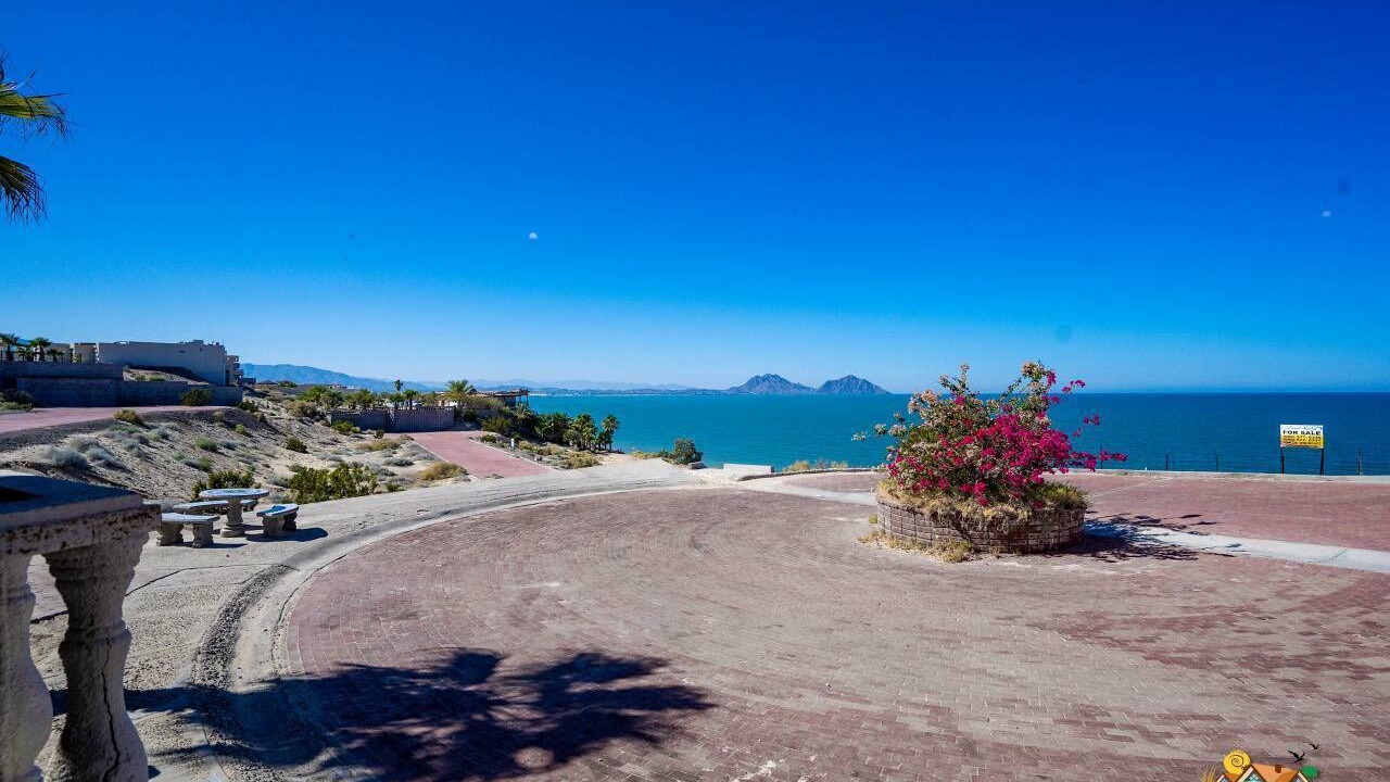 Photo of Others in San Felipe