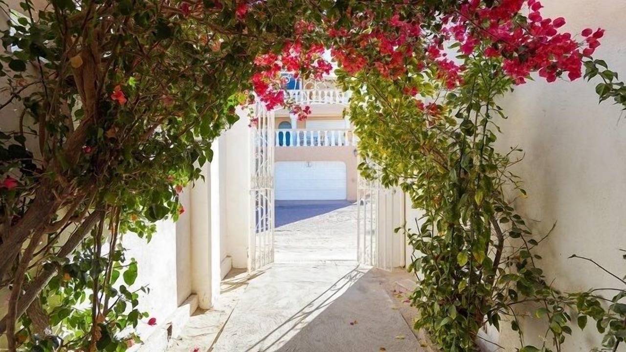 Photo of Others in Villas de Las Palmas