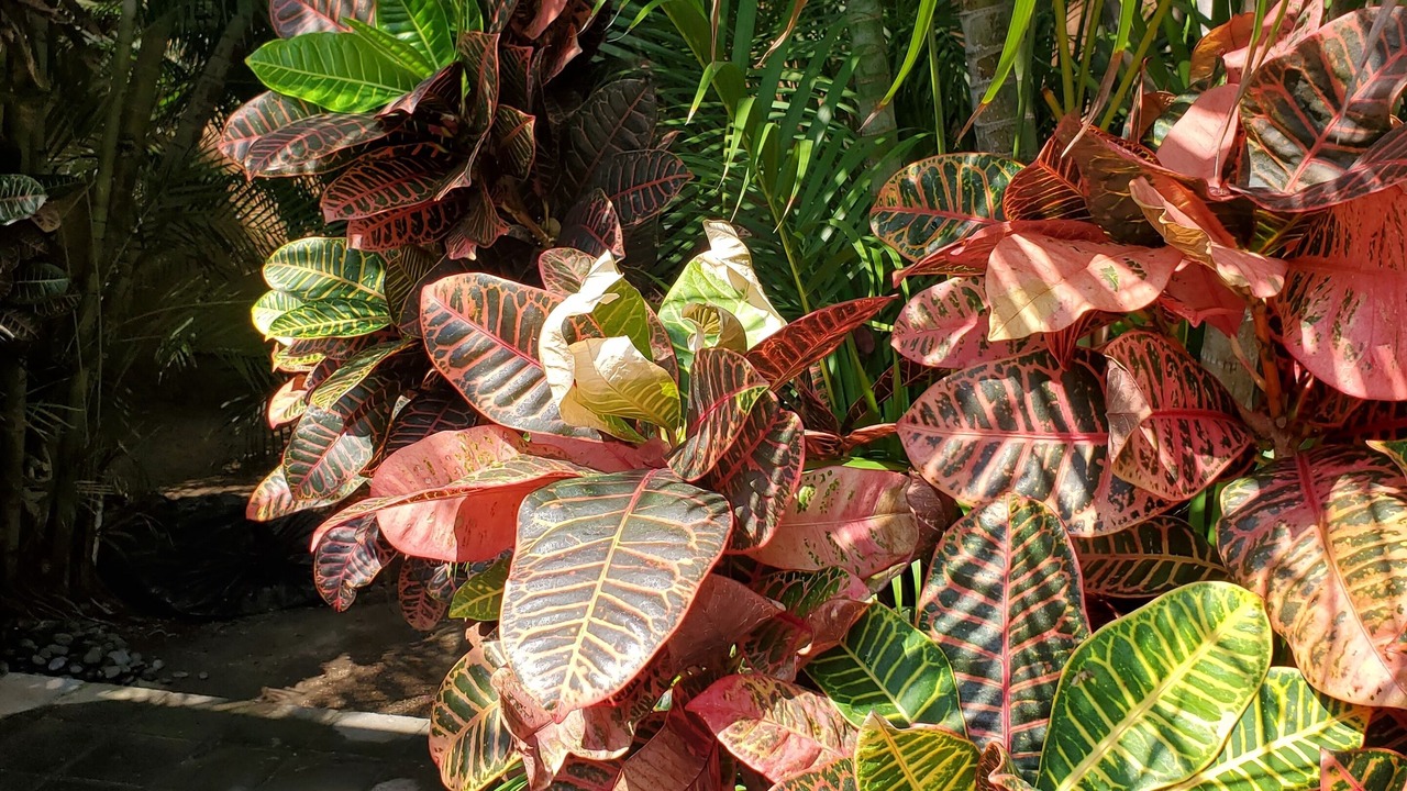 Photo of Outdoor in La Punta