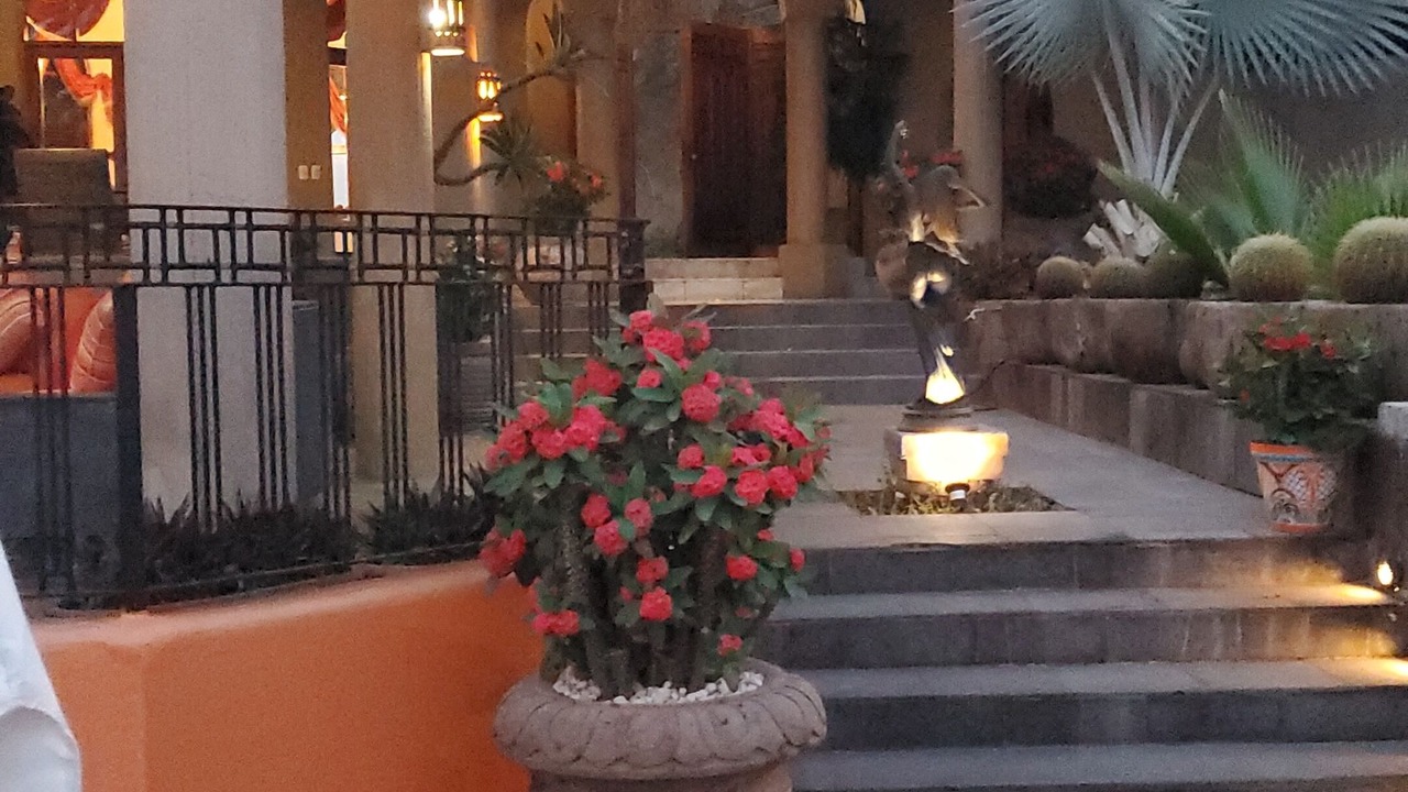 Photo of Outdoor in La Punta