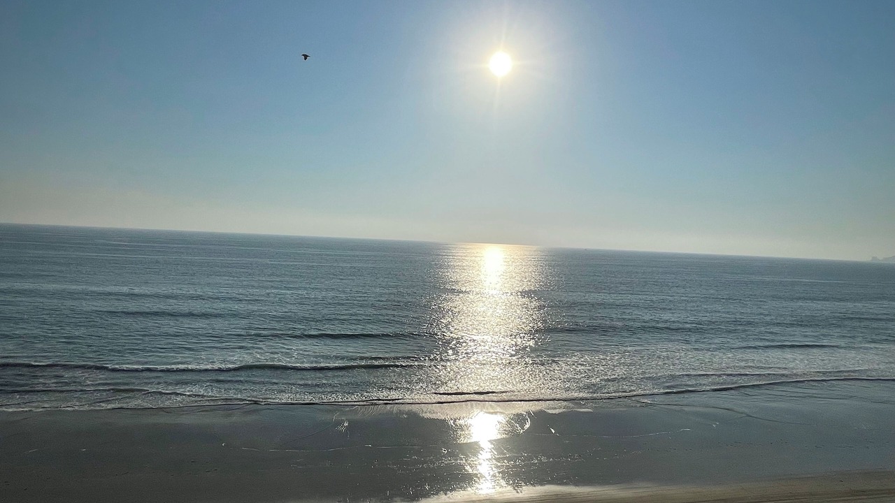 Photo of Others in Playas de Rosarito