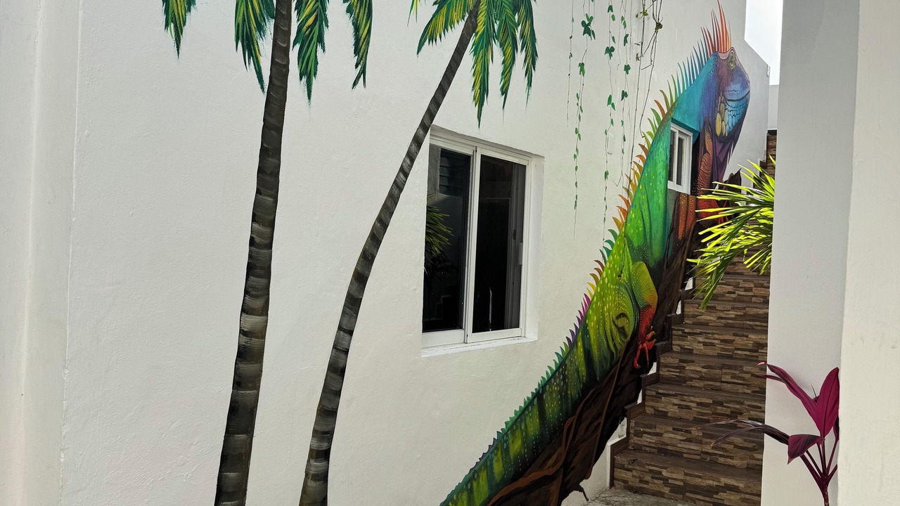 Photo of Outdoor in Colonia Centro
