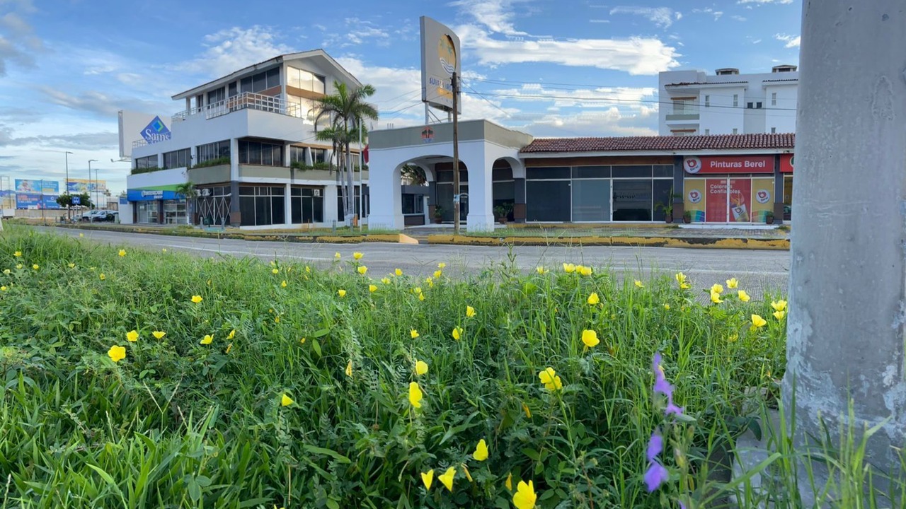 Photo of Outdoor in Manzanillo