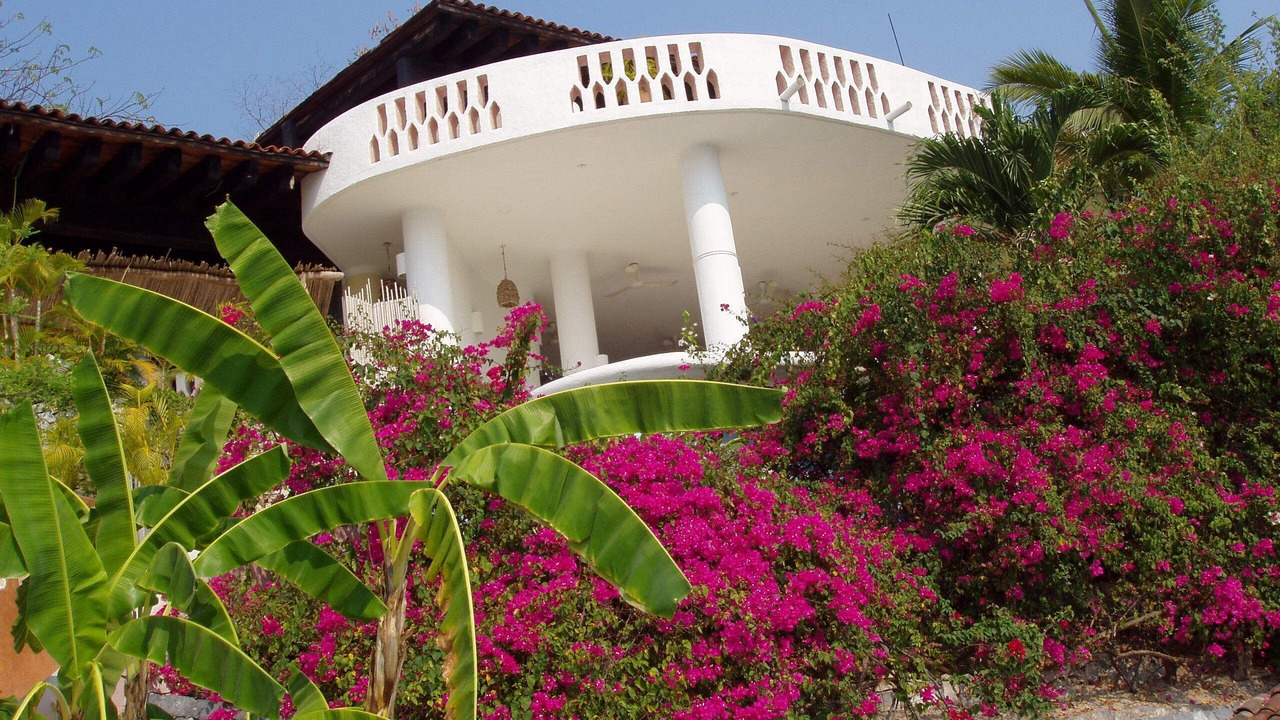 Photo of Outdoor in Zihuatanejo