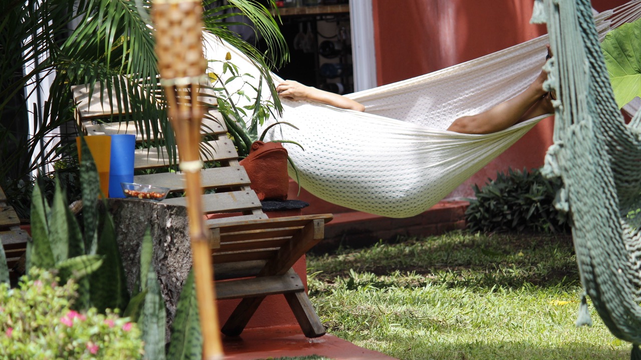 Photo of Others in Veracruz