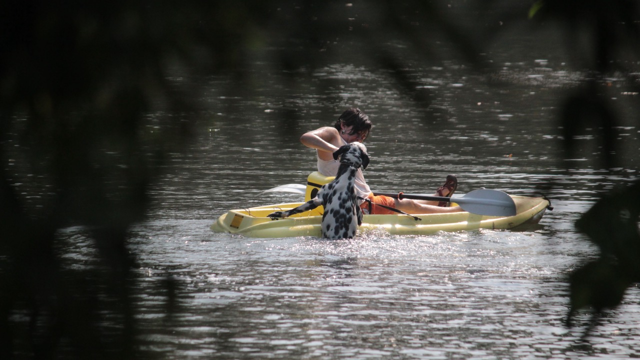 Photo of Others in Veracruz