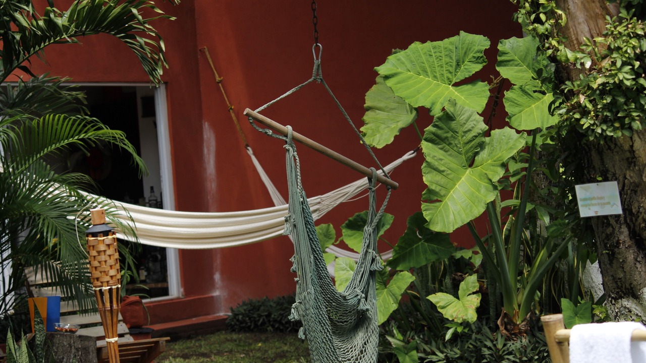 Photo of Outdoor in Veracruz