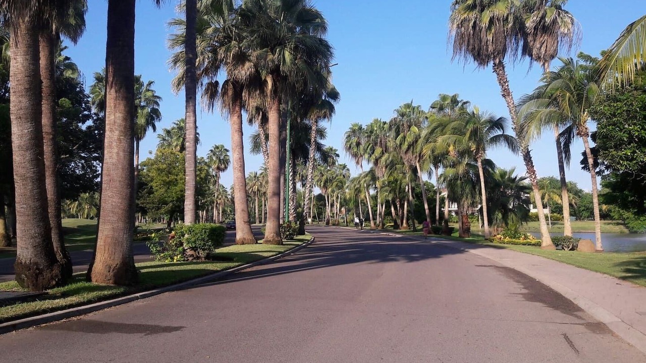 Photo of Others in Nuevo Vallarta