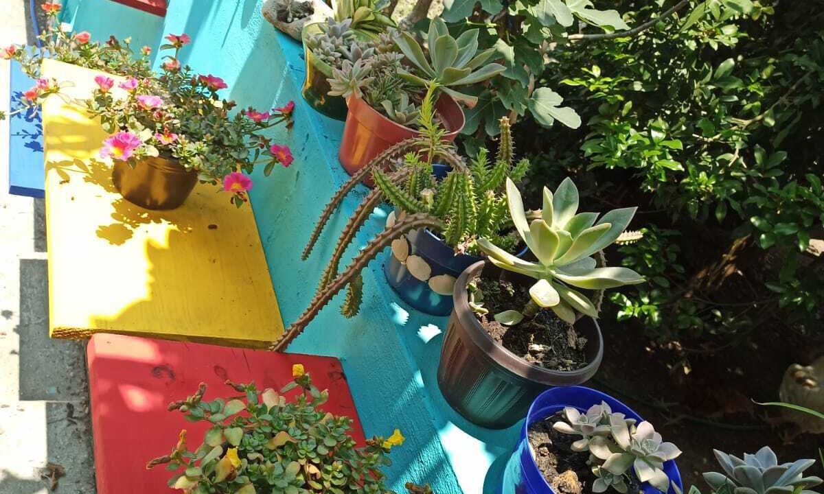 Photo of Outdoor in Cazones de Herrera