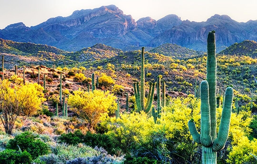 Photo of Outdoor in Puerto Penasco
