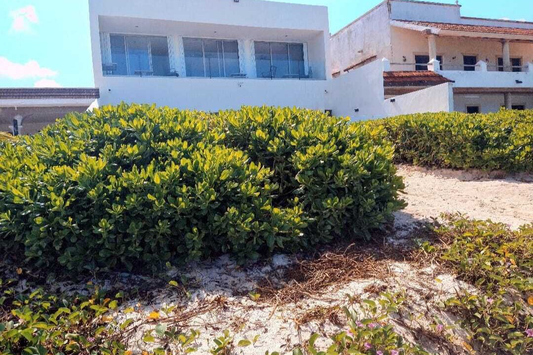 Photo of Outdoor in Progreso Municipality