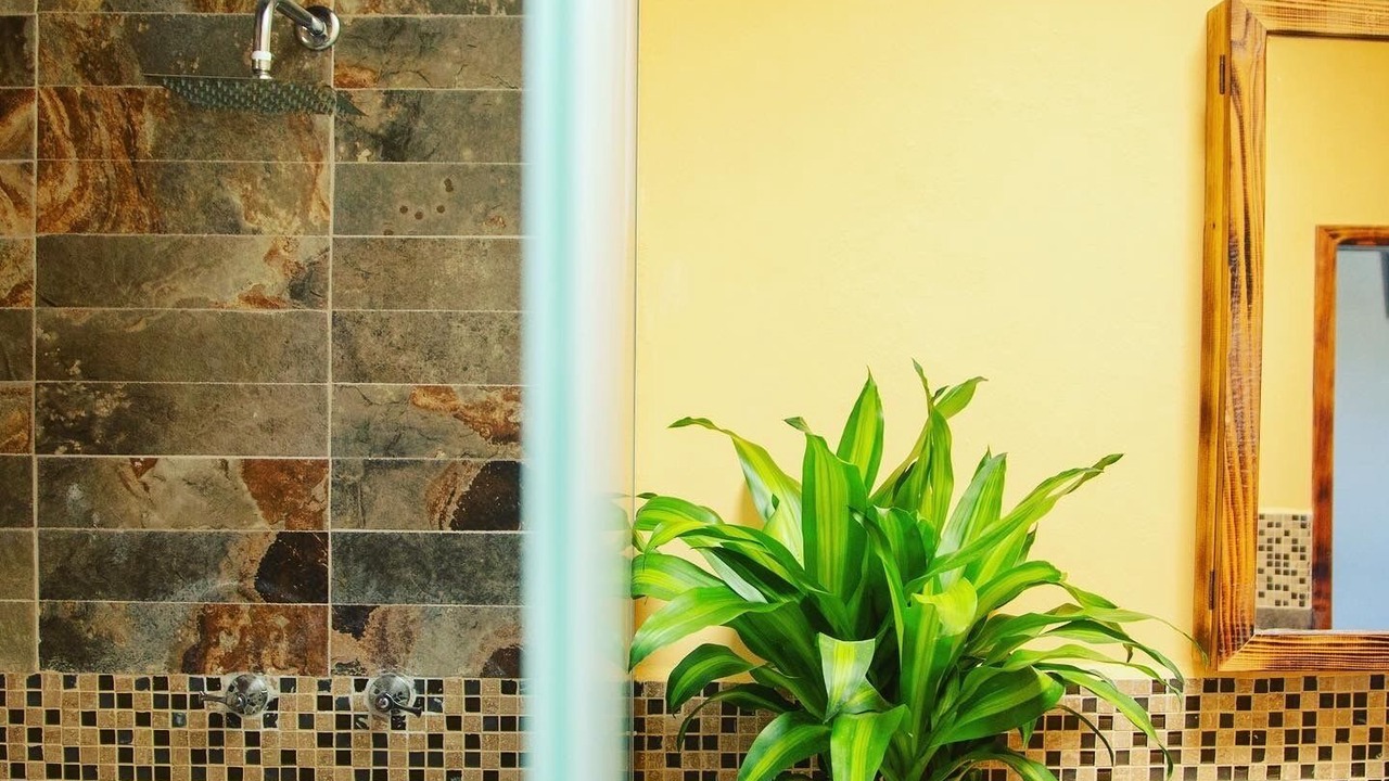 Photo of Bathroom in Aguascalientes