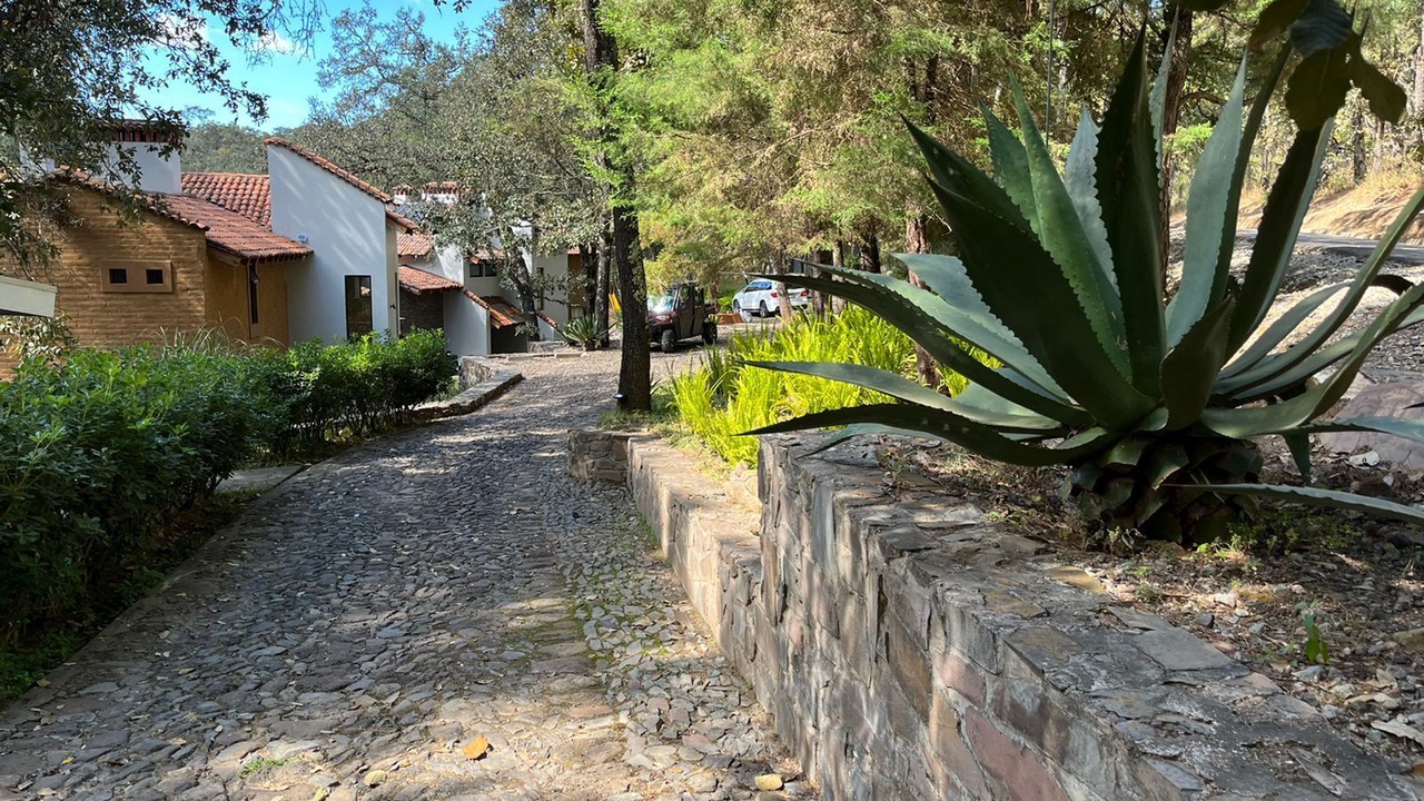 Photo of Outdoor in Tapalpa