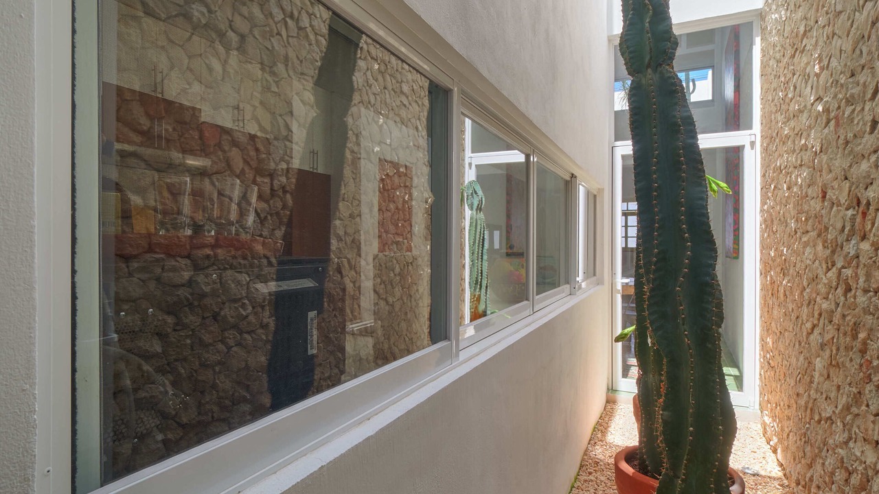 Photo of Outdoor in Centro