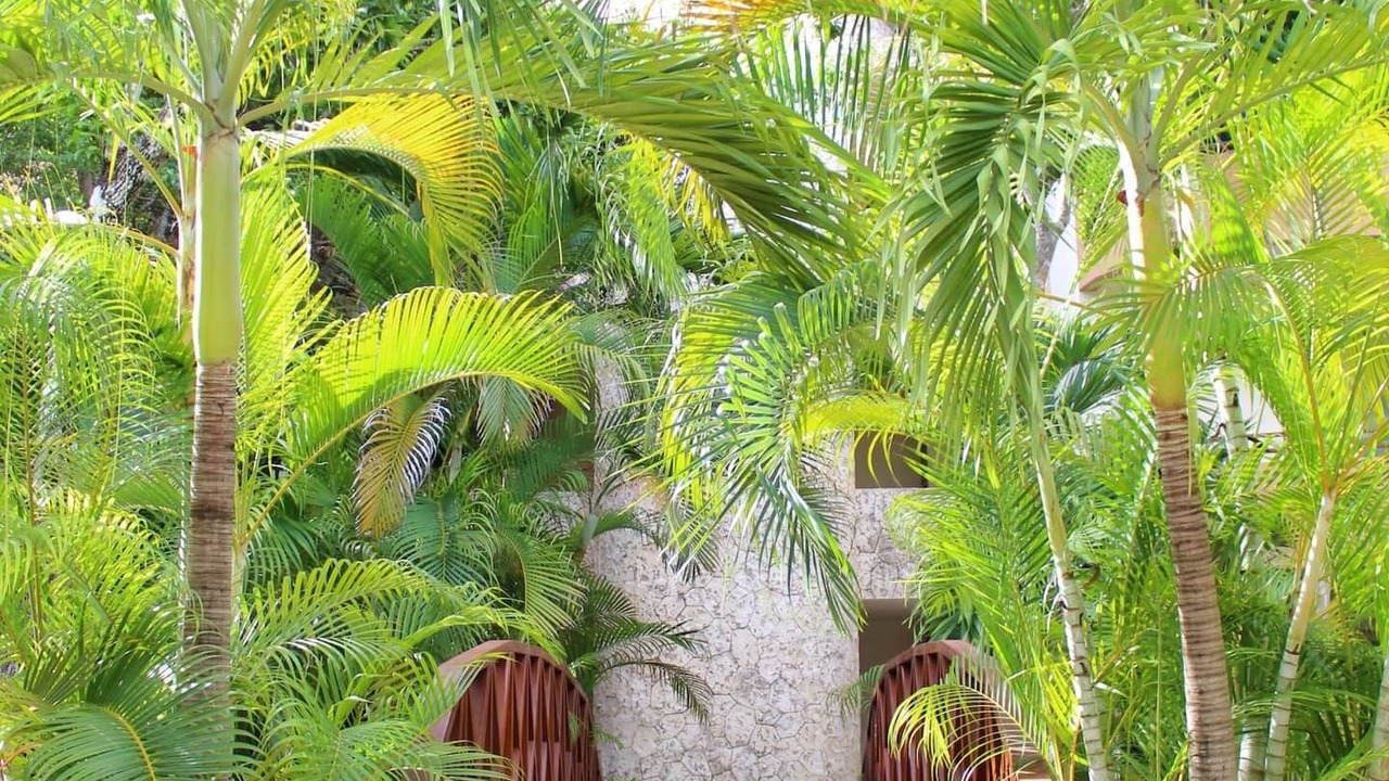 Photo of Outdoor in Zama