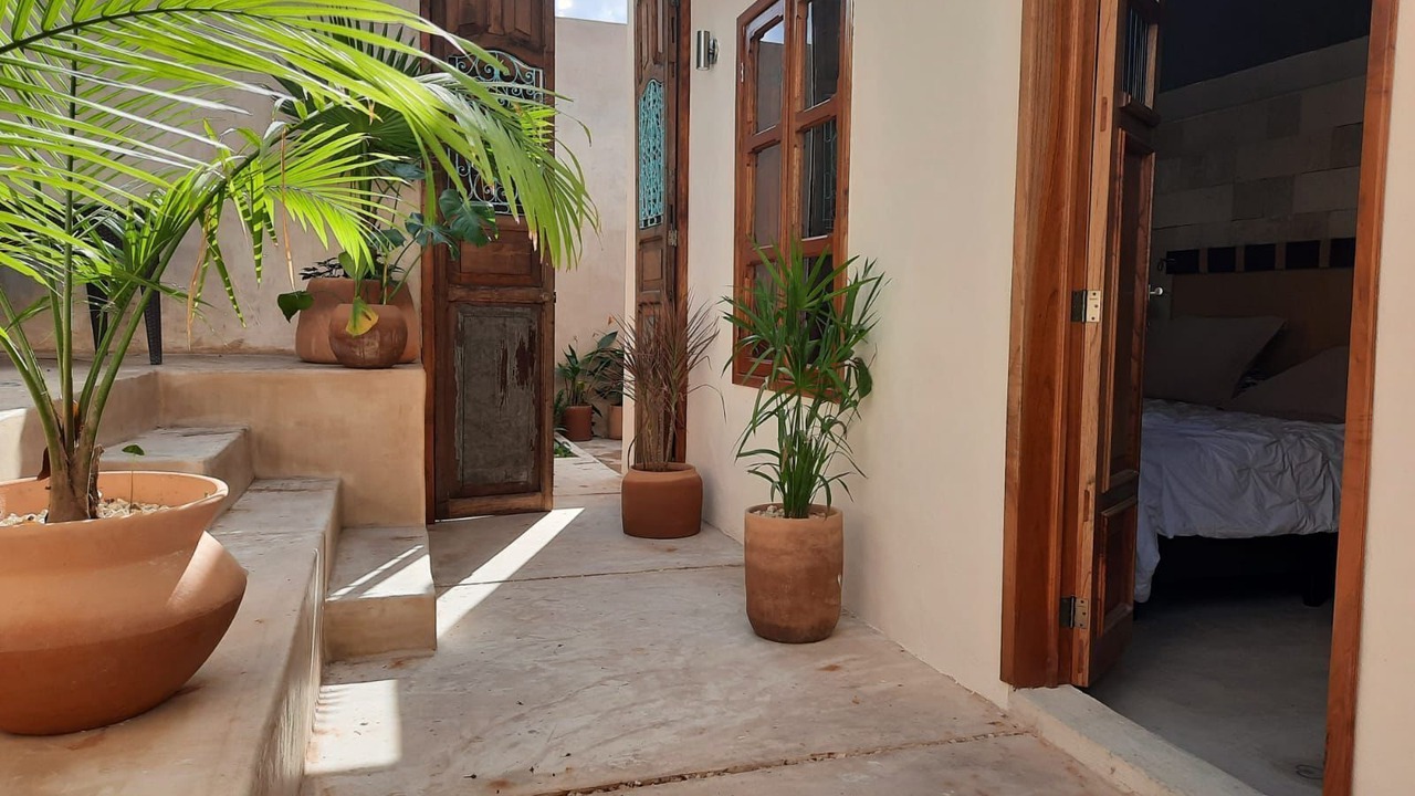 Photo of Outdoor in Zona Paseo Montejo