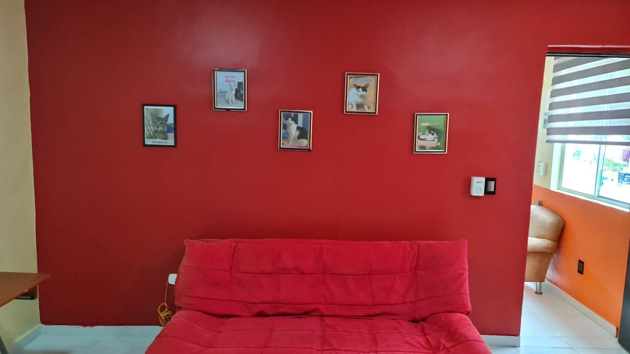 Photo of Livingroom in Merida Municipality