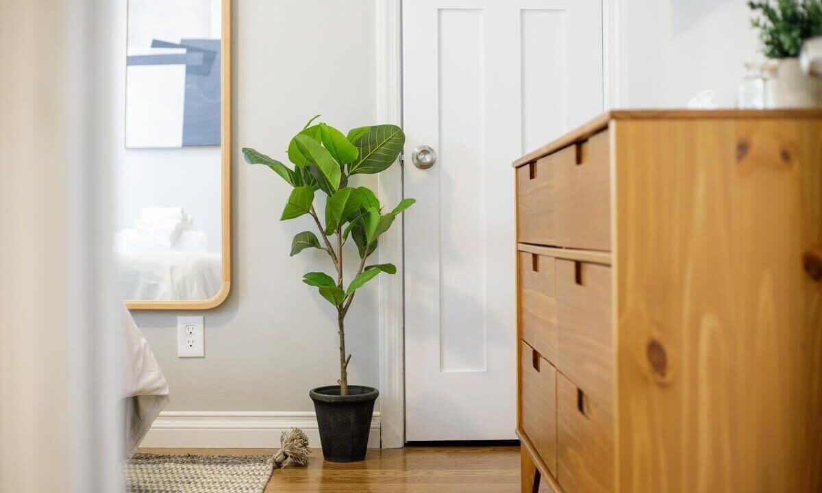 Photo of Bedroom in Plymouth