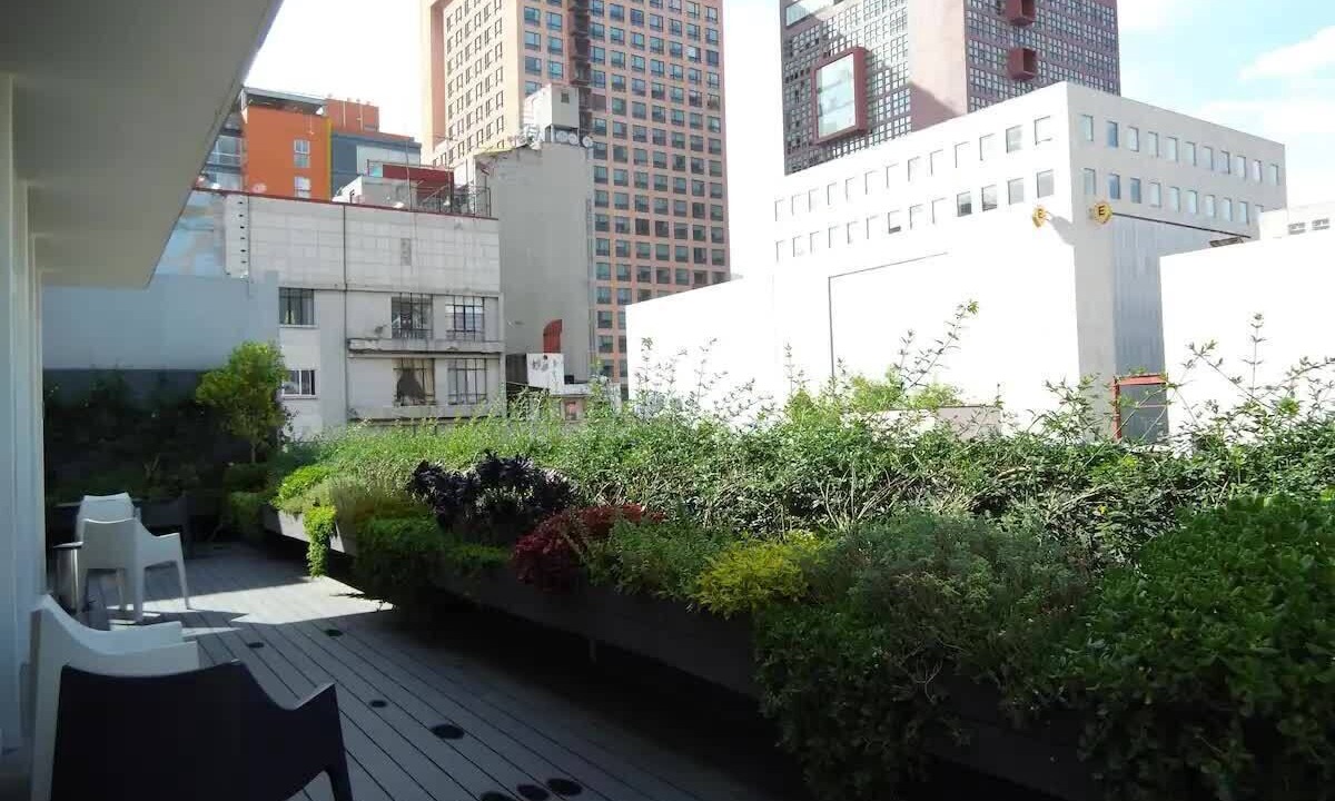 Photo of Outdoor in Colonia Centro