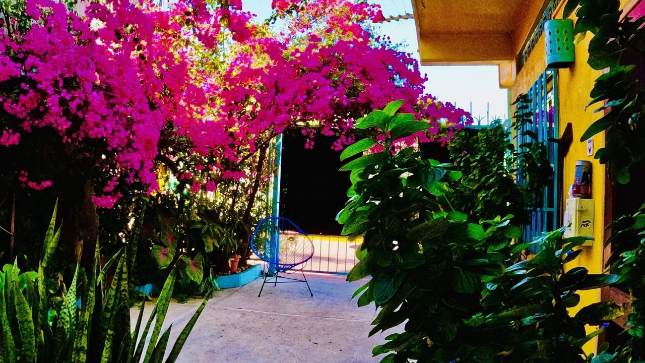 Photo of Outdoor in Playa la Madera