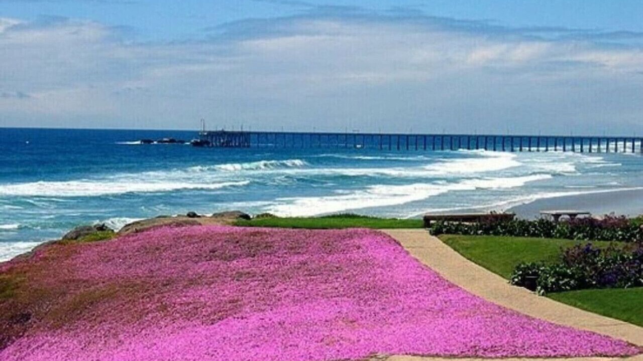 Photo of Others in Villas de Rosarito