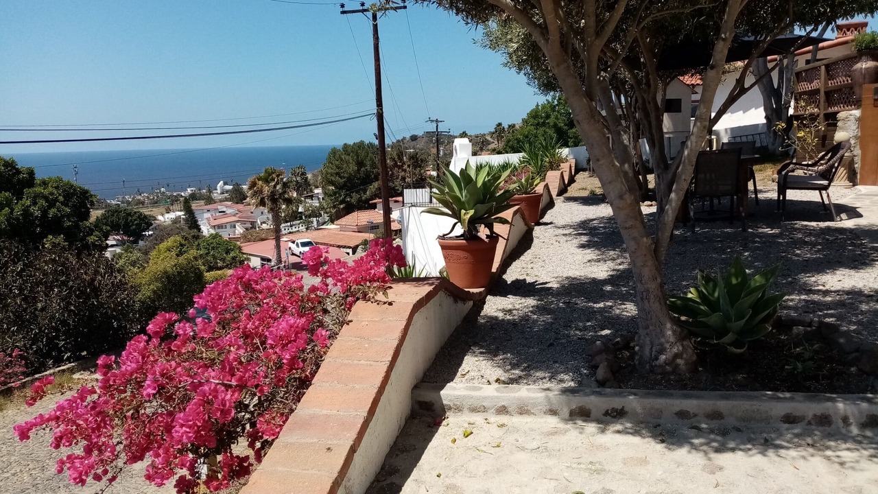 Photo of Outdoor in El Sauzal