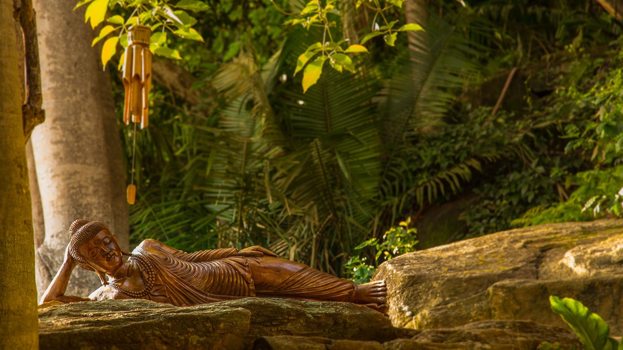 Photo of Outdoor in Yelapa