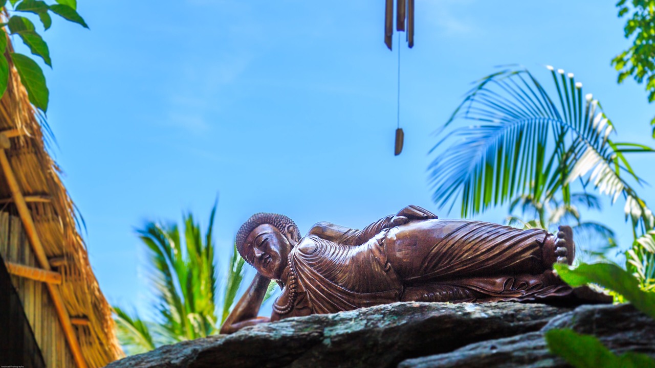 Photo of Outdoor in Yelapa