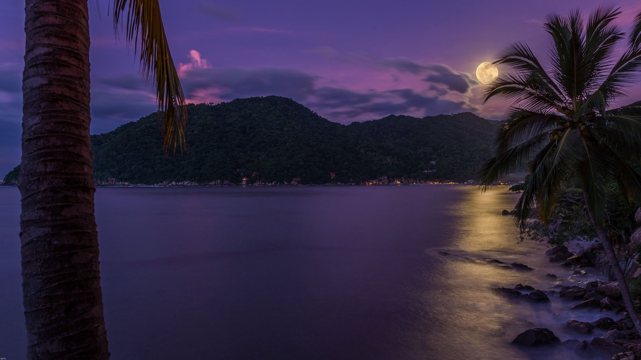 Photo of Others in Yelapa