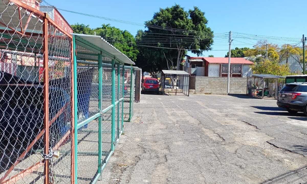 Photo of Outdoor in Tehuacan
