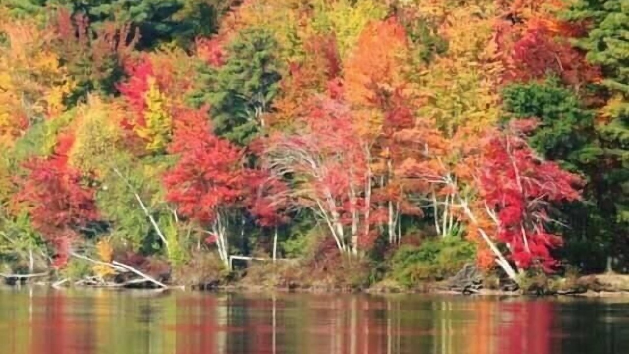 Photo of Outdoor in Wolfeboro