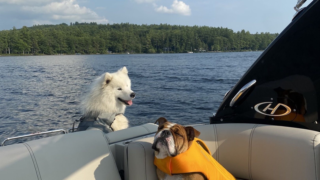 Photo of Others in Wolfeboro