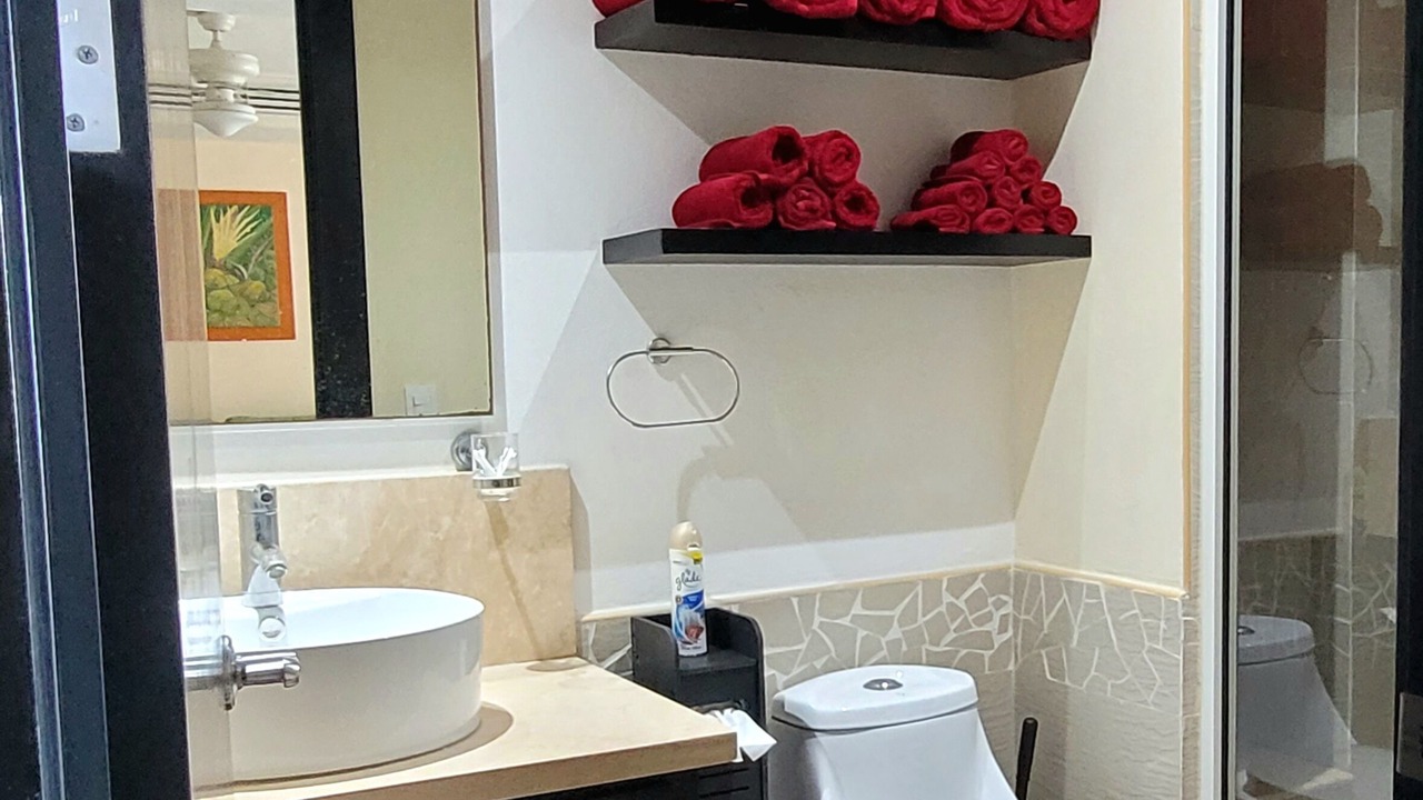 Photo of Bathroom in Ixtapa