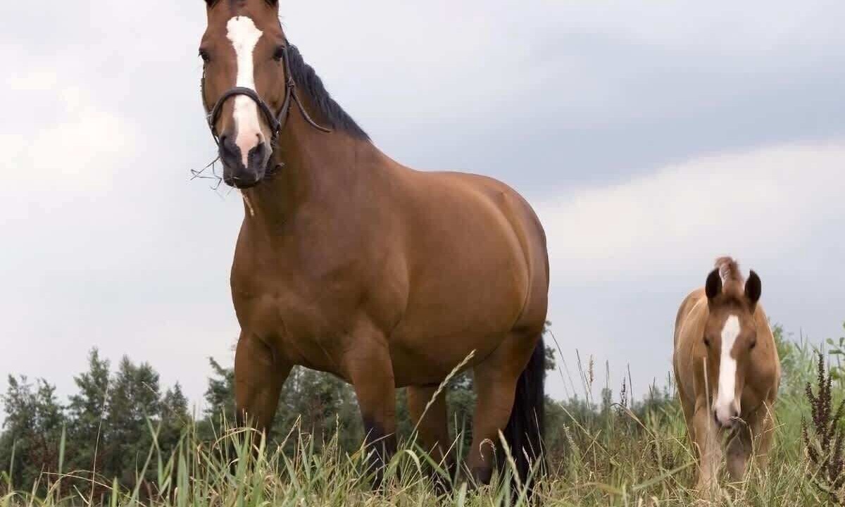 Photo of Others in Ellsworth
