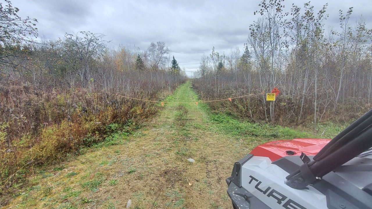 Photo of Outdoor in New Sweden