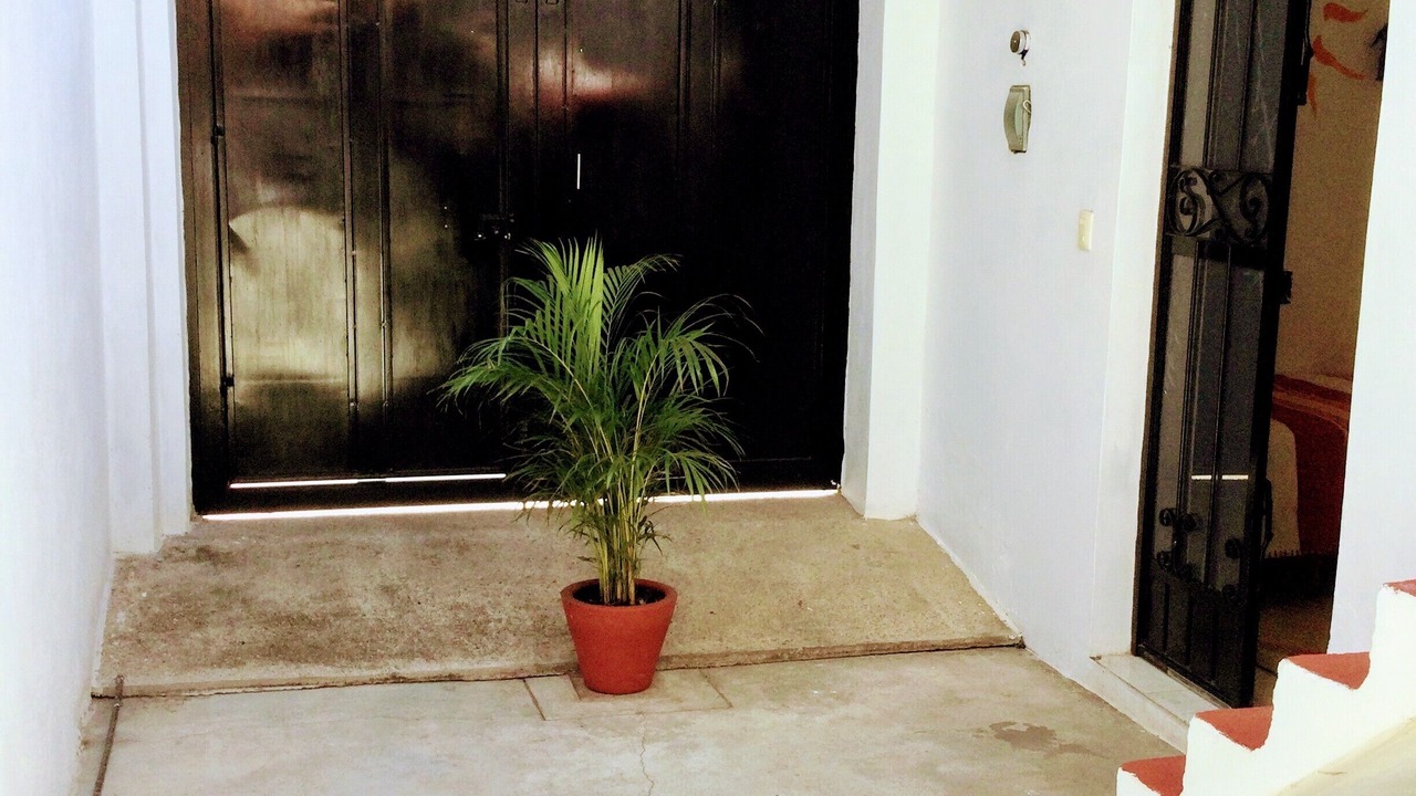 Photo of Outdoor in Jalatlaco