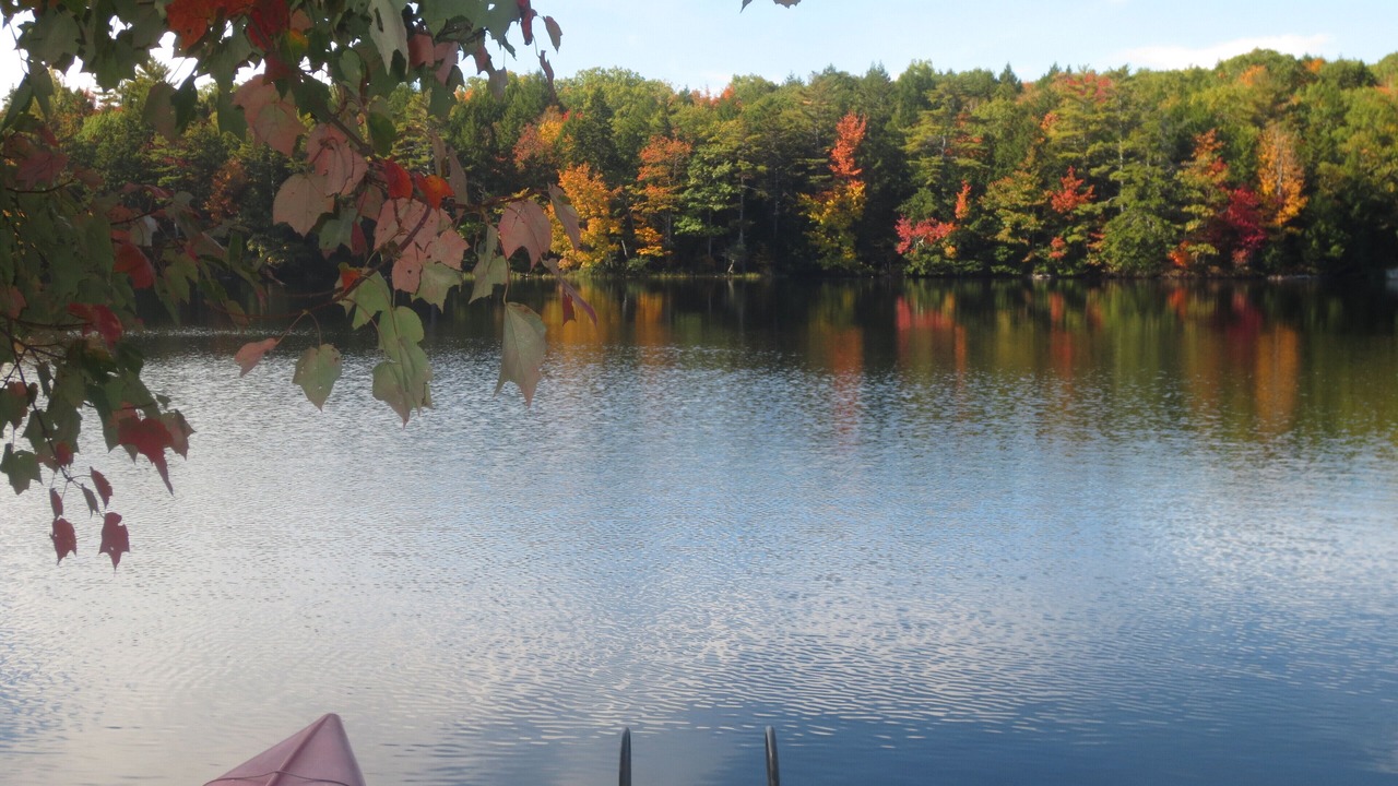 Photo of Outdoor in Boothbay