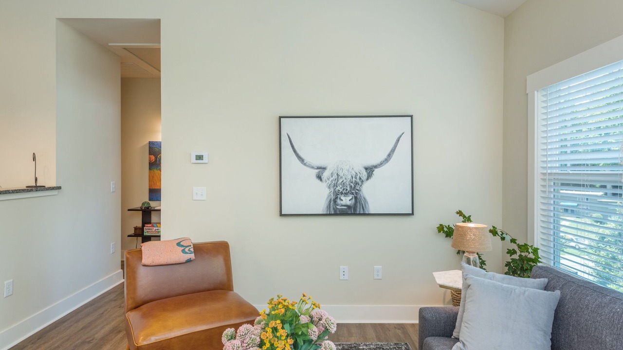 Photo of Livingroom in Five Points