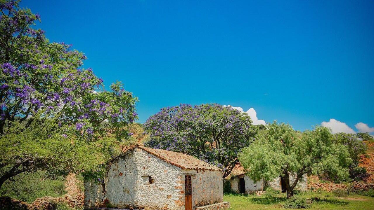 Photo of Outdoor in Tequisquiapan