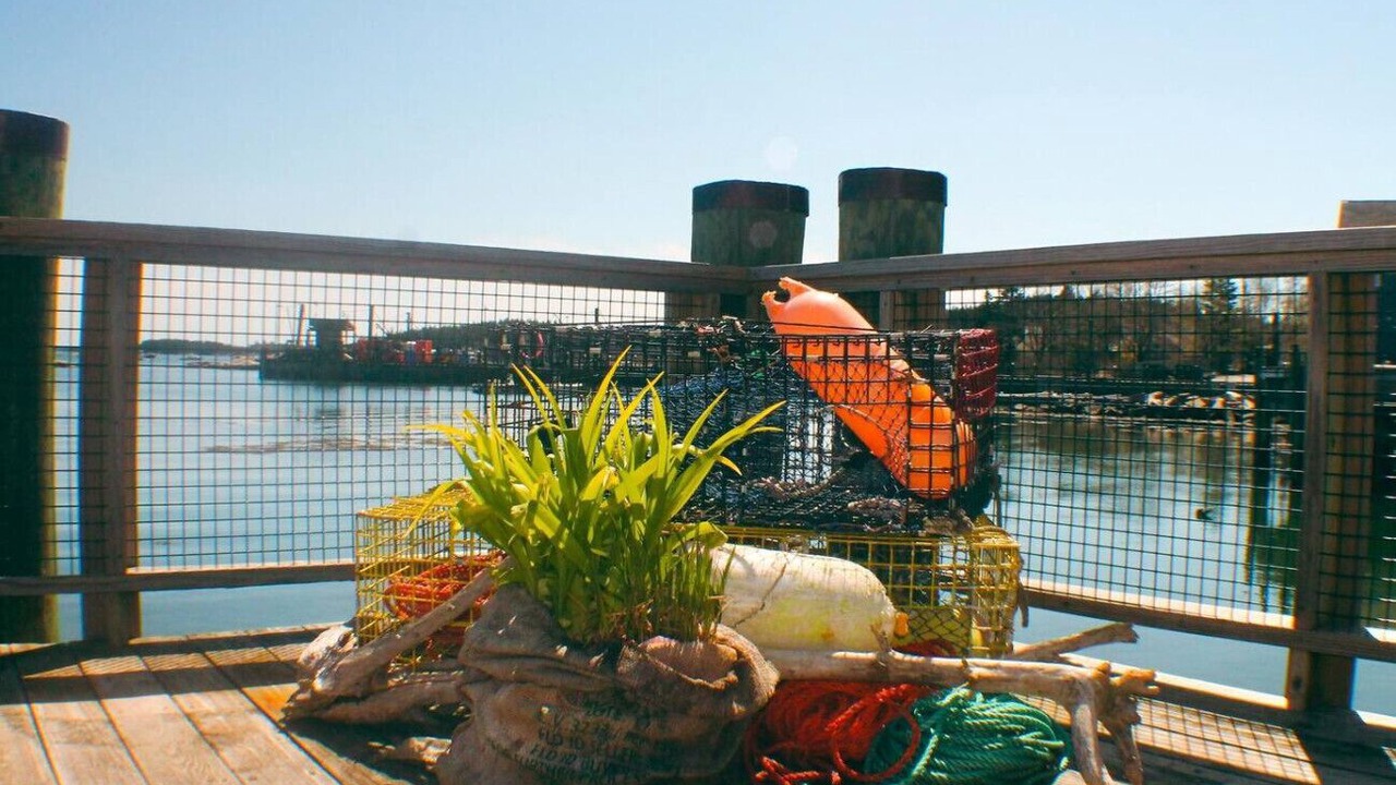 Photo of Outdoor in Stonington