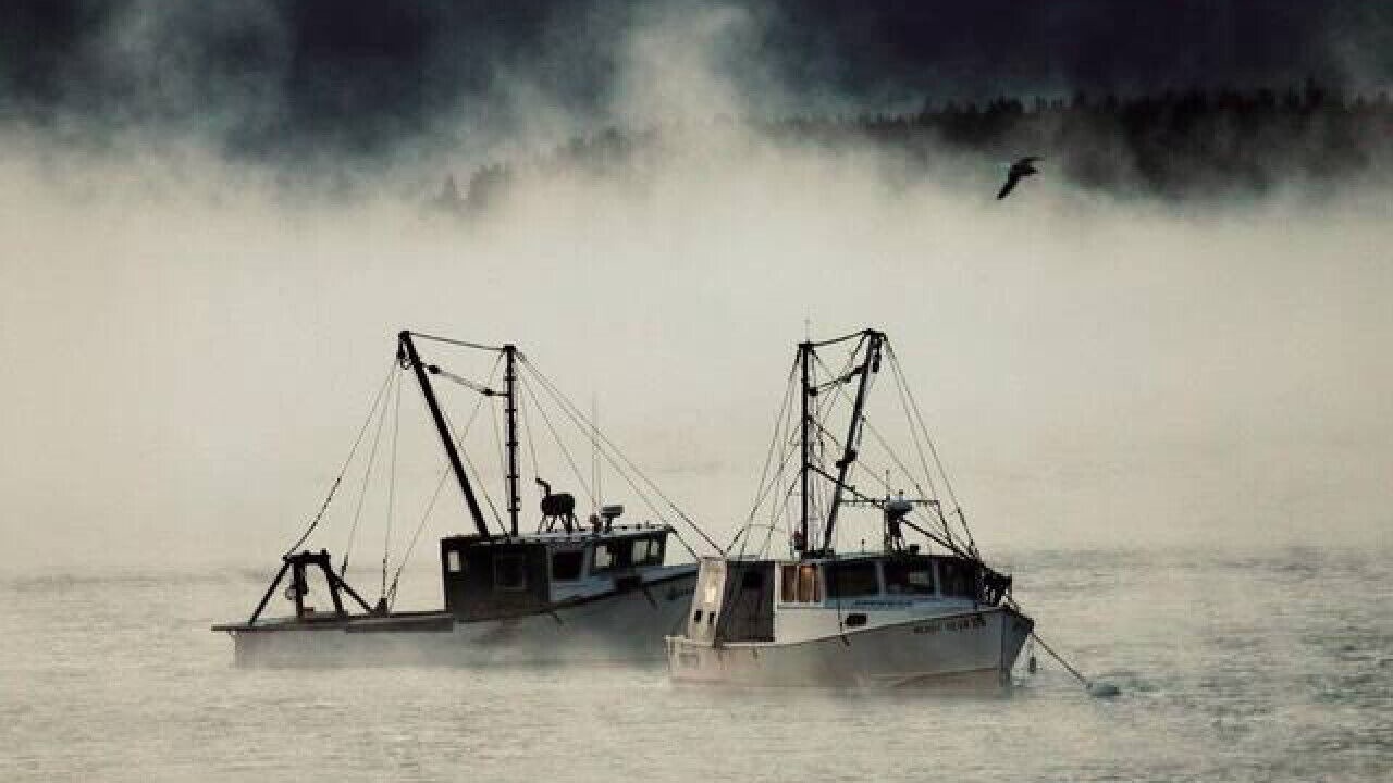 Photo of Others in Stonington