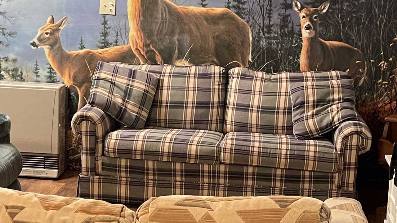 Photo of Livingroom in South Casco