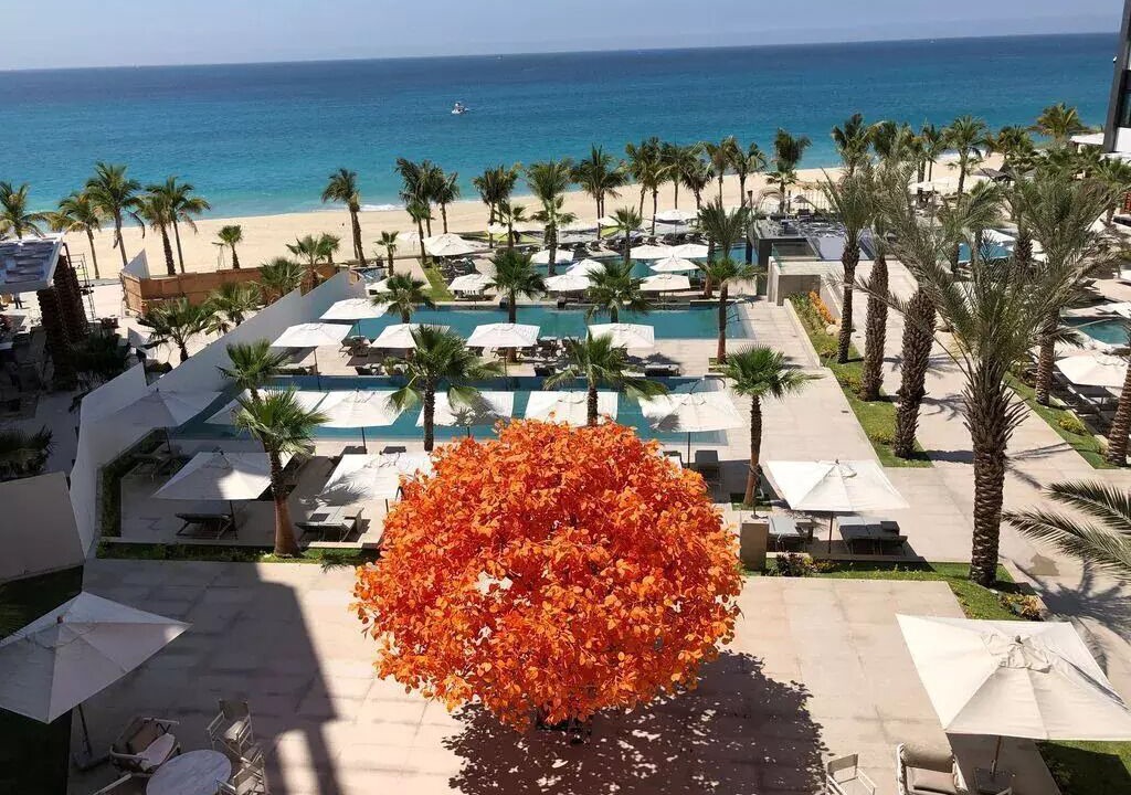 Photo of Outdoor in Cabo San Lucas