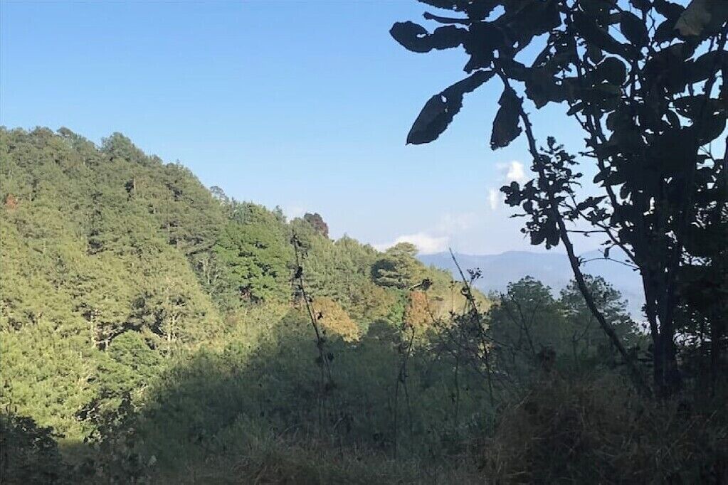 Photo of Outdoor in San Jose del Pacifico
