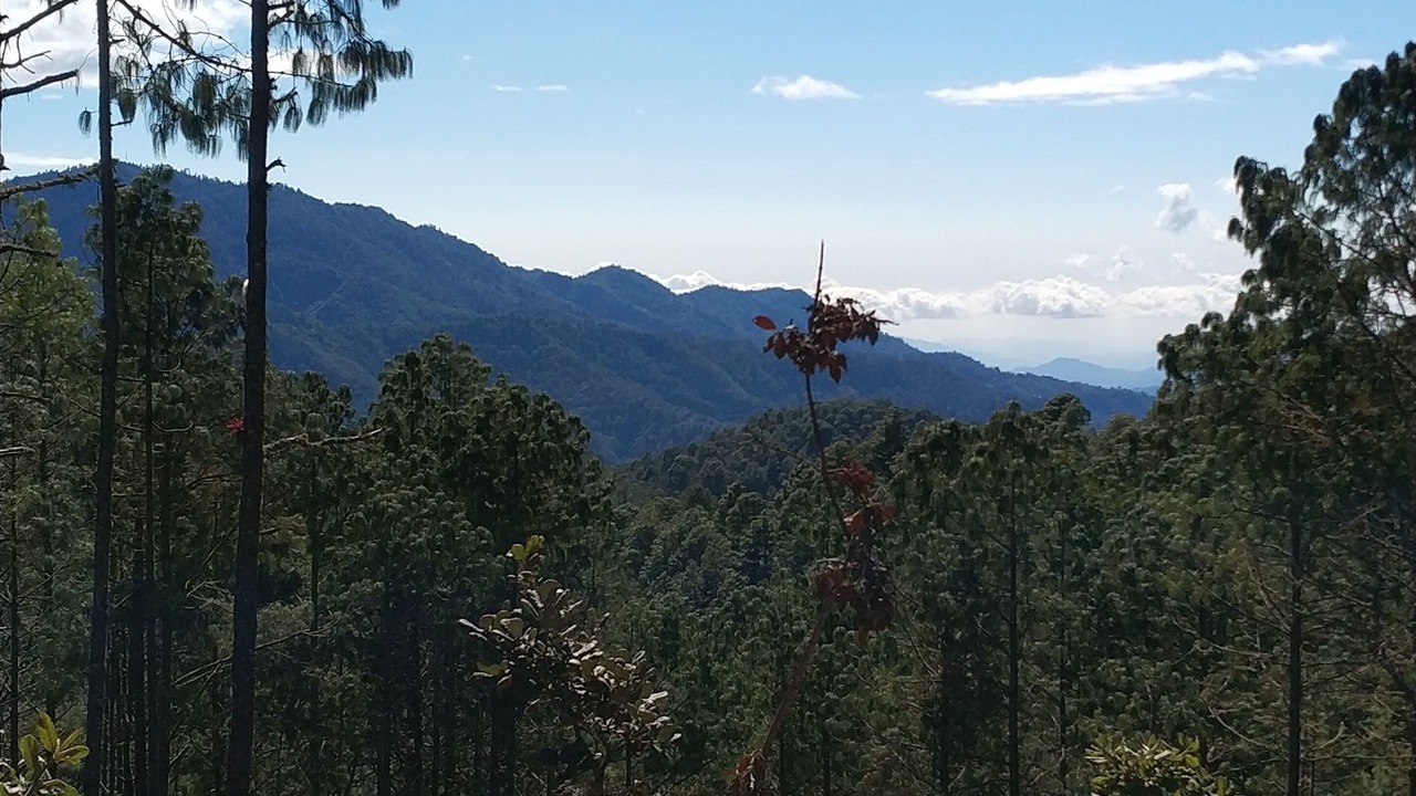 Photo of Outdoor in San Jose del Pacifico