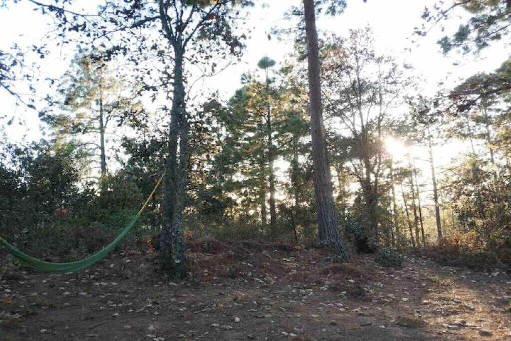 Photo of Outdoor in San Jose del Pacifico